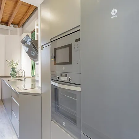 Living4malaga Shining Beetle Málaga